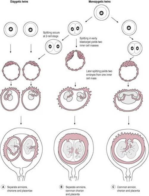 B978070203489300023X/f06-07-9780702034893.jpg is missing