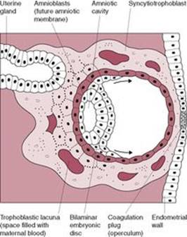 B9780702034893000253/f08-04-9780702034893.jpg is missing