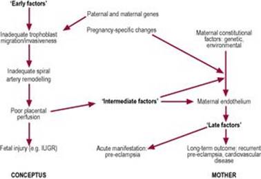 B9780702034893000253/f08-08-9780702034893.jpg is missing