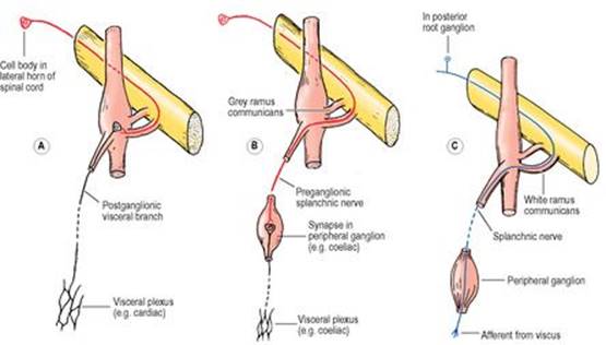 B9780702033957000018/f01-13-9780702033957.jpg is missing