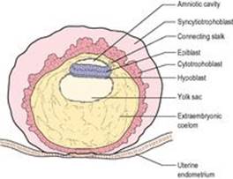 B9780702033957000018/f01-16-9780702033957.jpg is missing