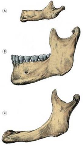 B9780702033957000018/f01-29-9780702033957.jpg is missing