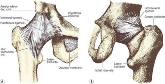 B9780702033957000031/f03-14-9780702033957.jpg is missing