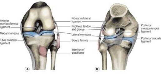 B9780702033957000031/f03-26-9780702033957.jpg is missing