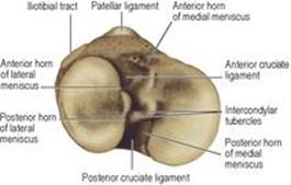 B9780702033957000031/f03-52-9780702033957.jpg is missing