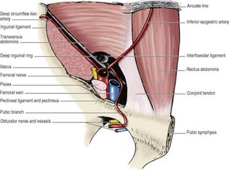 B9780702033957000055/f05-08-9780702033957.jpg is missing