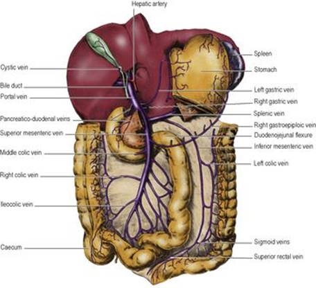 B9780702033957000055/f05-38-9780702033957.jpg is missing