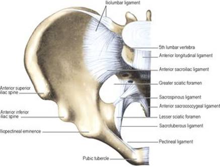 B9780702033957000055/f05-73-9780702033957.jpg is missing