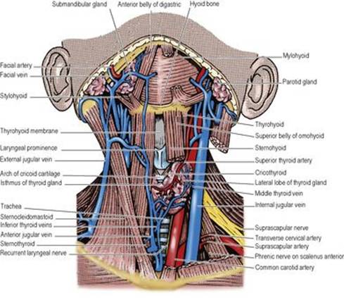 B9780702033957000067/f06-05-9780702033957.jpg is missing