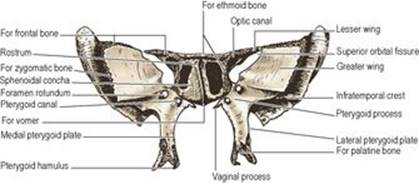 B9780702033957000067/f06-26-9780702033957.jpg is missing