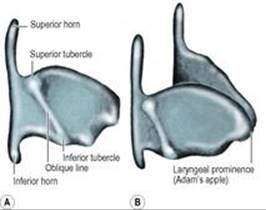 B9780702033957000067/f06-43-9780702033957.jpg is missing