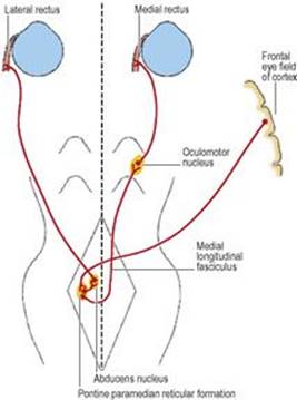 B9780702033957000067/f06-57-9780702033957.jpg is missing