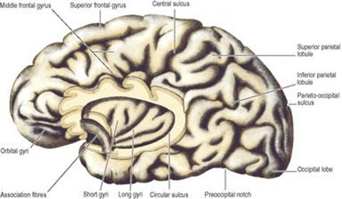 B9780702033957000079/f07-02-9780702033957.jpg is missing