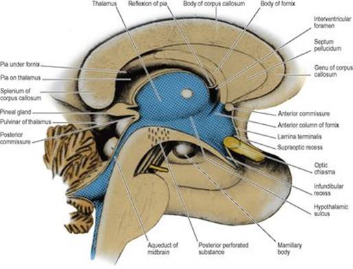 B9780702033957000079/f07-12-9780702033957.jpg is missing