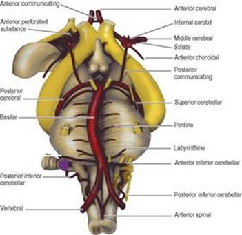 B9780702033957000079/f07-19-9780702033957.jpg is missing