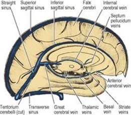 B9780702033957000079/f07-15-9780702033957.jpg is missing