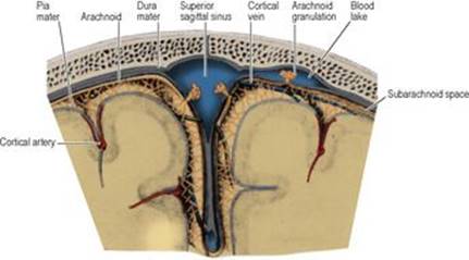 B9780702033957000079/f07-16-9780702033957.jpg is missing