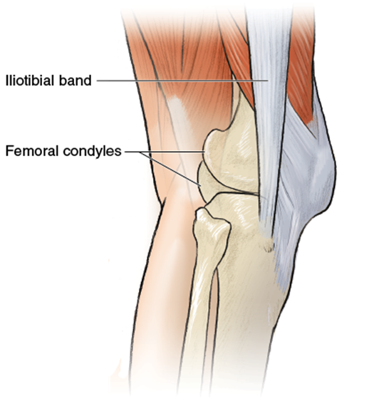 Figure 10.2 Knee.