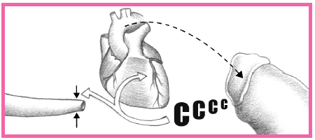 c8-tt6