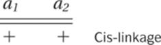 a1a2++Cis-linkage