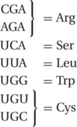 CGAAGA}=ArgUGA=SerUUA=LeuUGG=TrpUGUUGC}=Cys