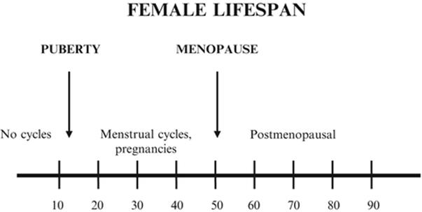 A145875_2_En_2_Fig1_HTML.gif