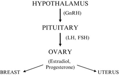 A145875_2_En_2_Fig2_HTML.gif