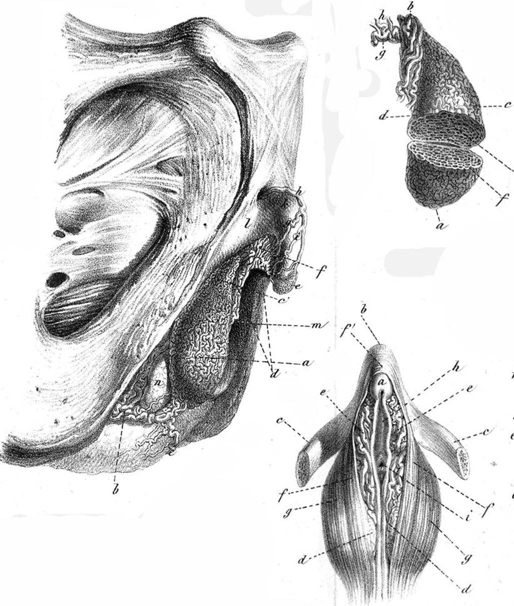 A319223_1_En_1_Fig5_HTML.jpg