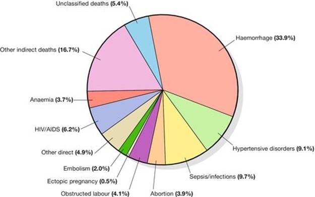 f29-01-9780702054082