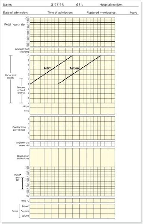 f29-06-9780702054082