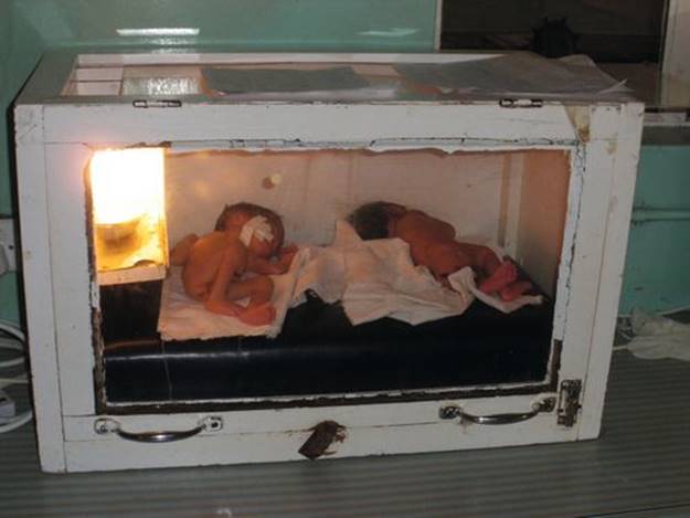 f29-12-9780702054082