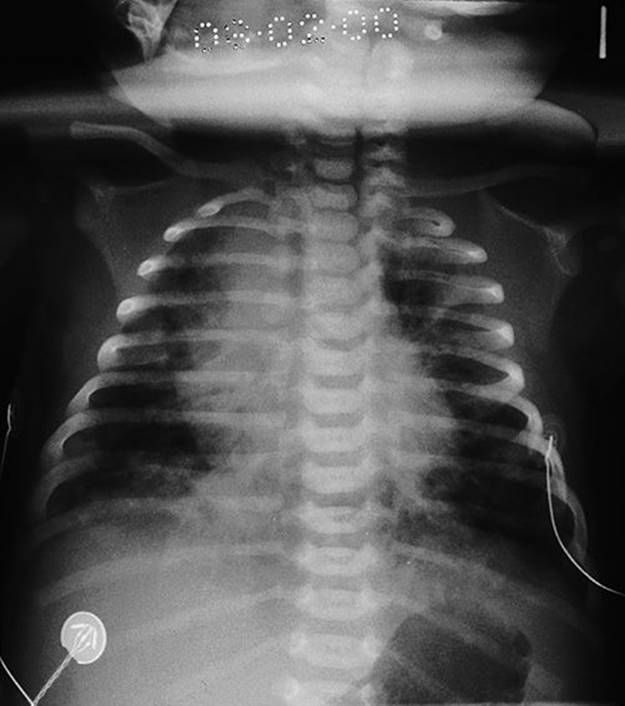 f50-02-9780702054082