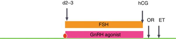 A319836_1_En_7_Fig6_HTML.gif