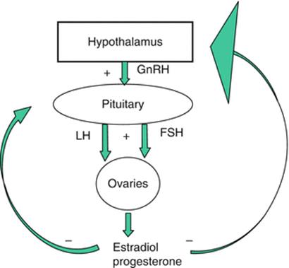 GnRH Antagonist in Ovarian Stimulation - Principles and Practice of ...