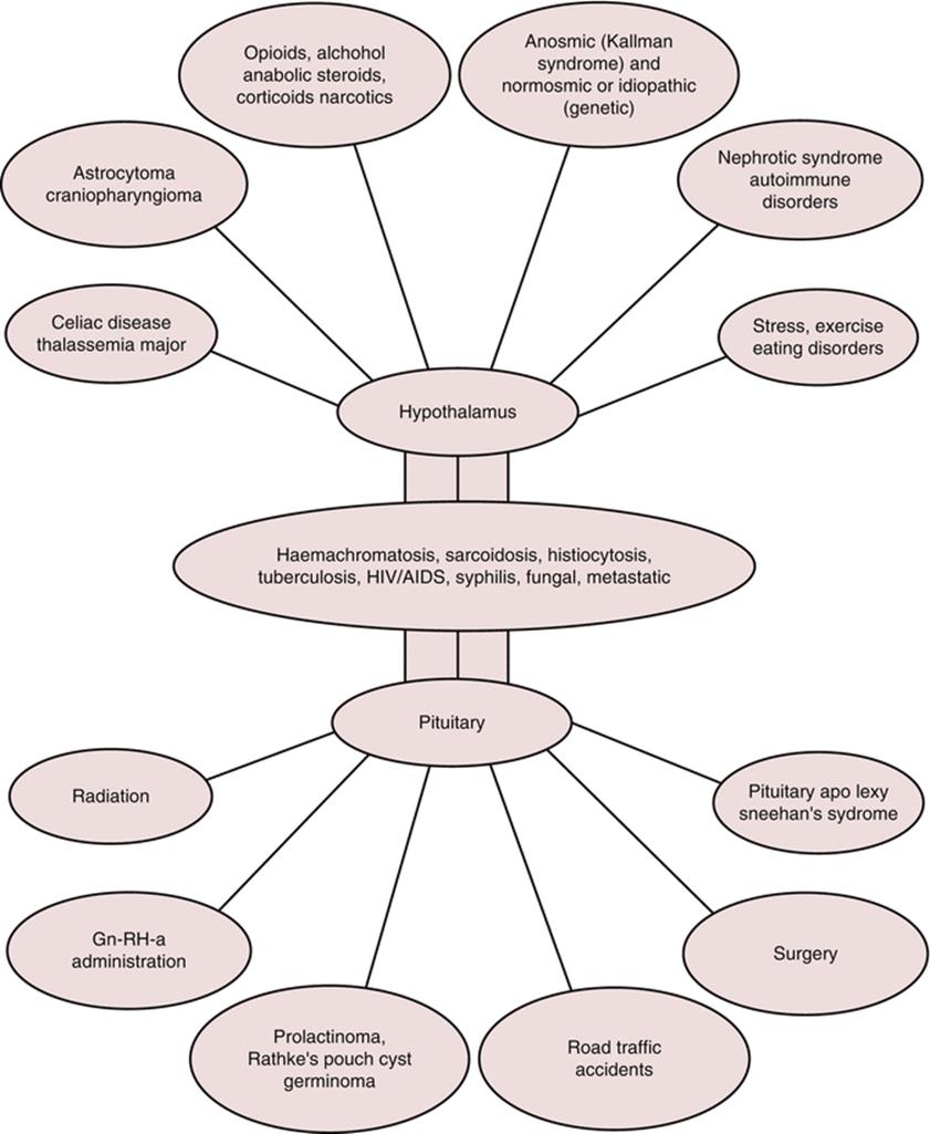 A319836_1_En_32_Fig1_HTML.gif