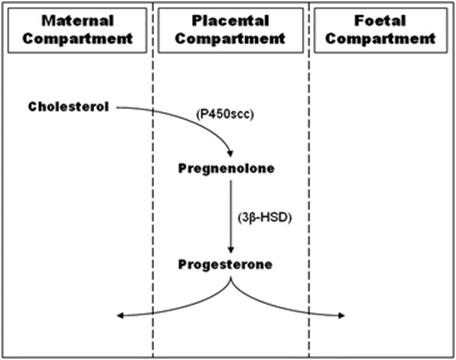 A978-3-319-03494-2_17_Fig1_HTML.gif