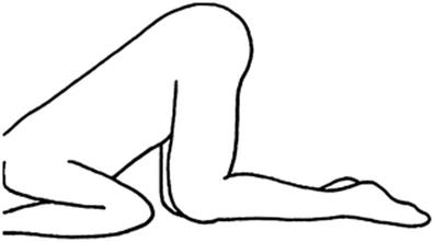 A337409_1_En_11_Fig1_HTML.gif