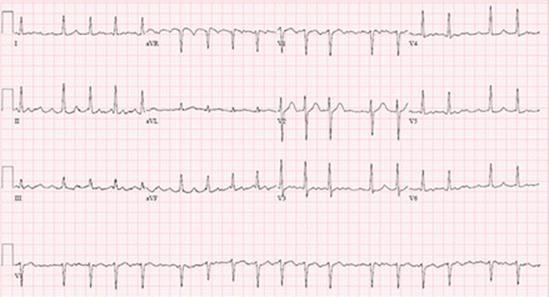 A337409_1_En_14_Fig1_HTML.gif