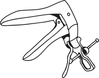 A328473_1_En_4_Fig1_HTML.gif
