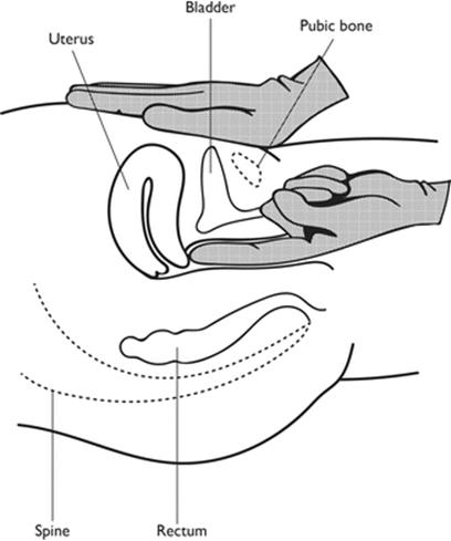 A328473_1_En_4_Fig3_HTML.gif