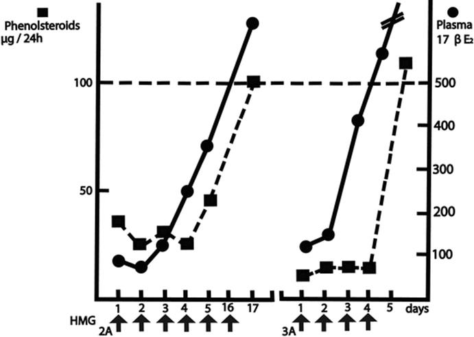 A307741_1_En_1_Fig2_HTML.gif