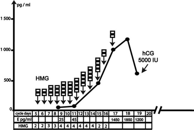 A307741_1_En_1_Fig3_HTML.gif