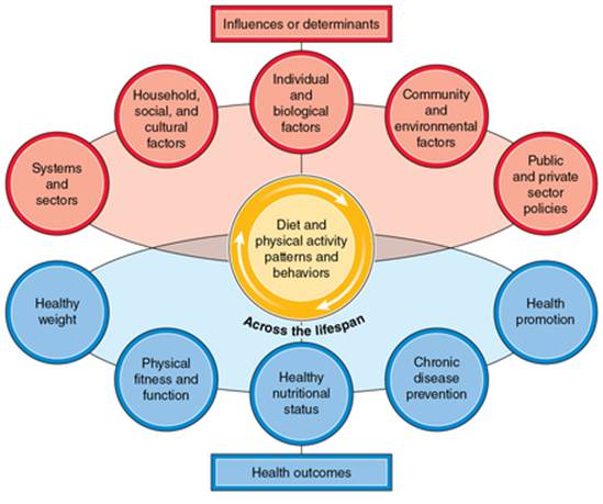 Figure 1.1 Diet and physical activity, health promotion, and disease prevention across the lifespan.