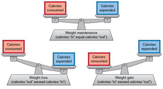 Figure 18.3 Energy balance: calories consumed versus calories expended.