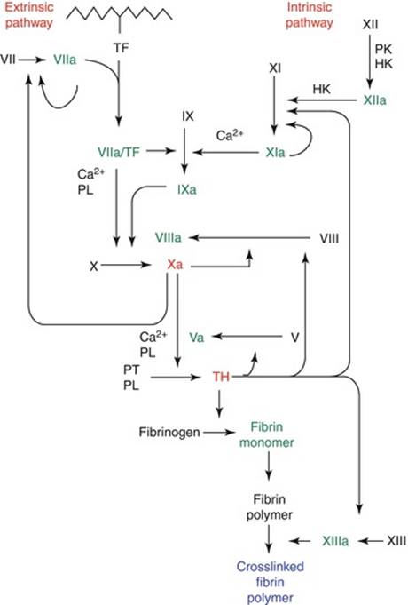 A322602_1_En_3_Fig1_HTML.jpg