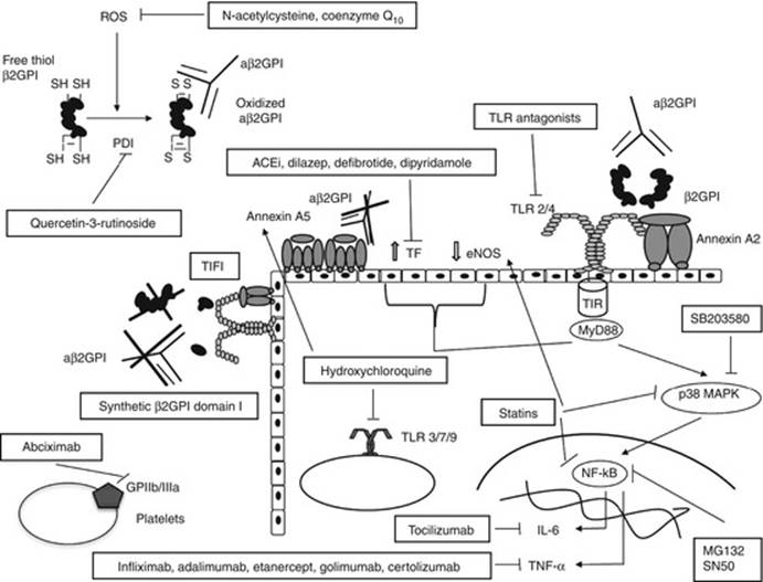 A322602_1_En_18_Fig1_HTML.jpg