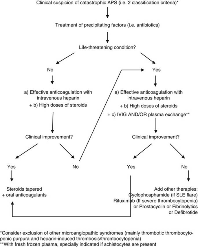 A322602_1_En_20_Fig1_HTML.jpg
