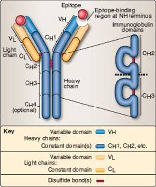 fig_6_1.jpg