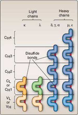 fig_6_2.jpg