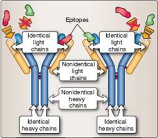 fig_6_3.jpg